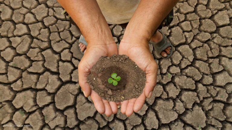 Cambio Climático, muerte de la humanidad