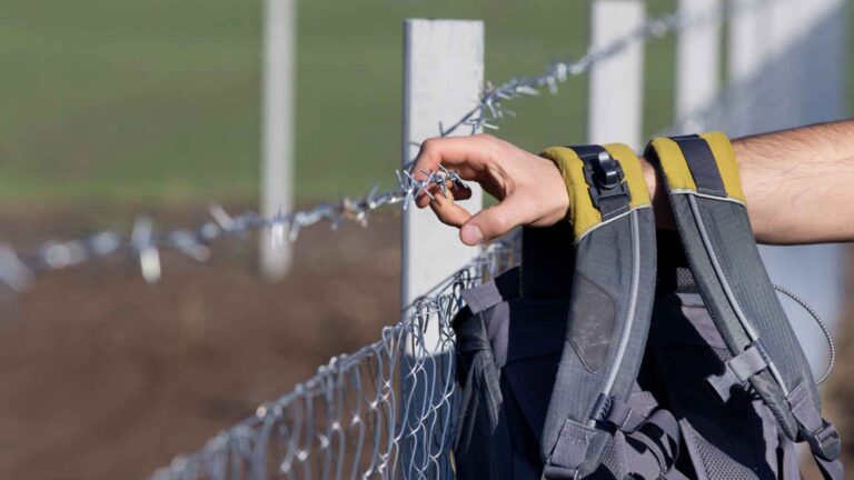 USA Redobla persecución a coyotes